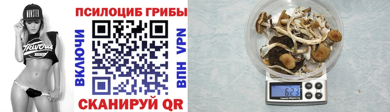 Купить  Спасск-Рязанский  Галлюциногенные грибы мухоморы 